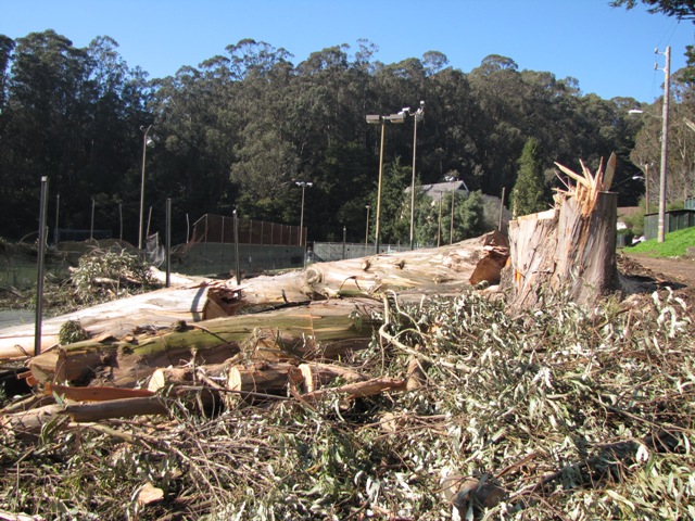 a-TennisCourtLongView