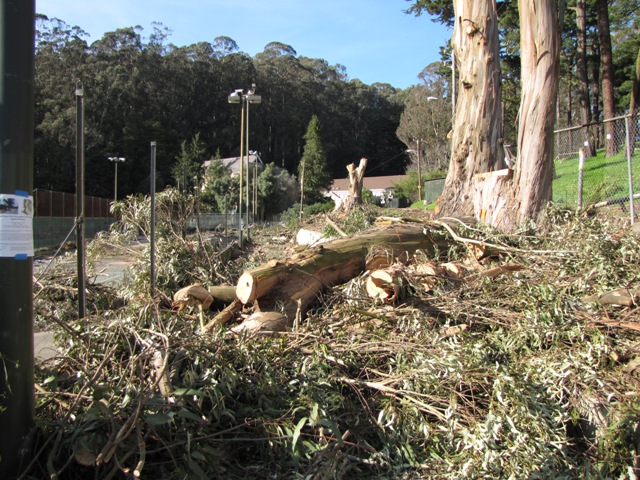 View-To-Ctr_Walkway-sm