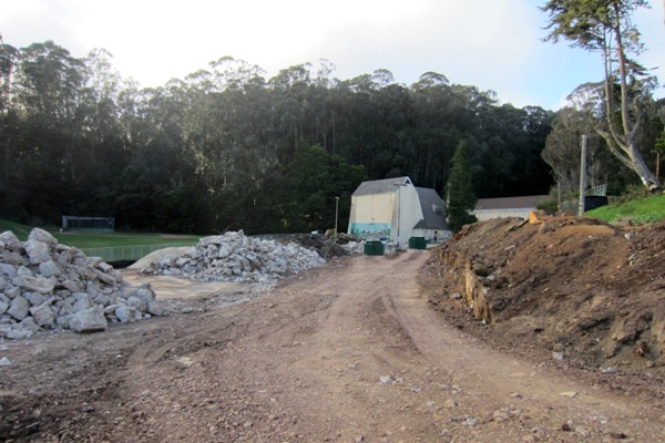 where the eucalyptus was