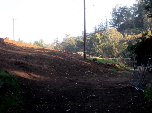 Former Alms Rd devoid of trees