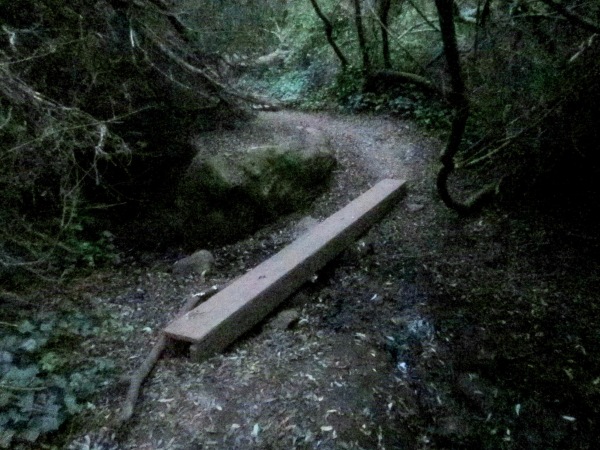 beam bridge over the creek